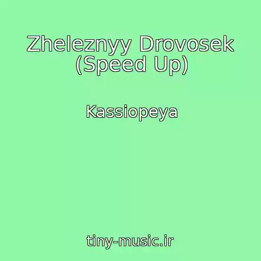 کاور آهنگ Zheleznyy Drovosek (Speed Up) از Kassiopeya