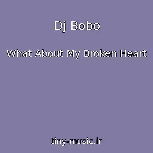 کاور آهنگ Dj Bobo از What About My Broken Heart