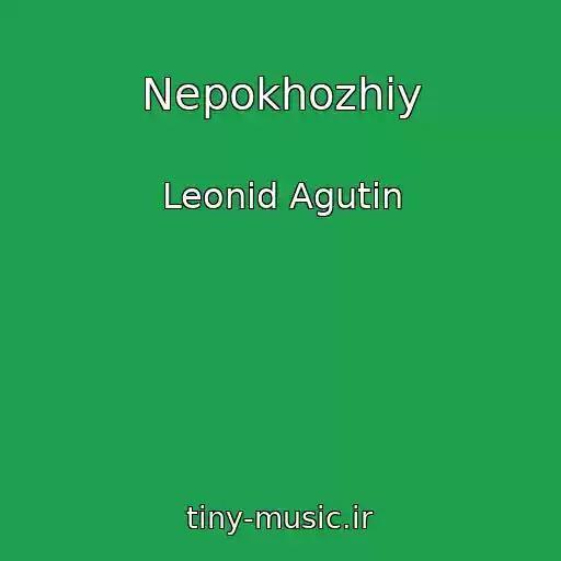 کاور آهنگ Nepokhozhiy از Leonid Agutin