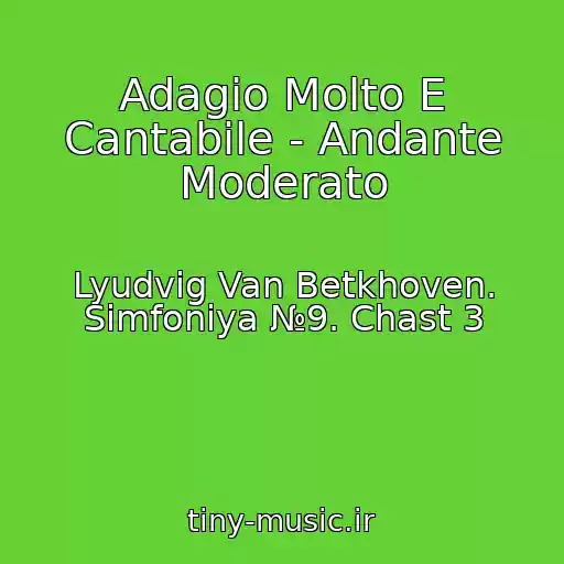 کاور آهنگ Adagio Molto E Cantabile - Andante Moderato از Lyudvig Van Betkhoven. Simfoniya №9. Chast 3