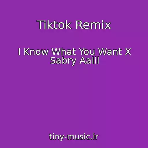 کاور آهنگ Tiktok Remix از I Know What You Want X Sabry Aalil