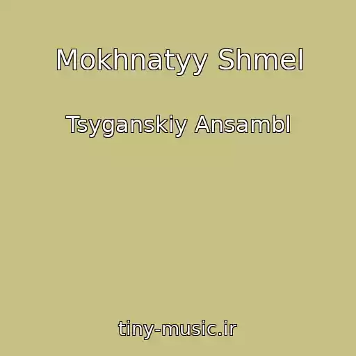 کاور آهنگ Mokhnatyy Shmel از Tsyganskiy Ansambl
