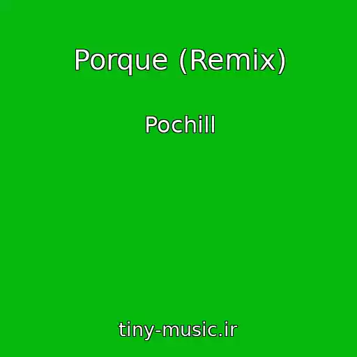 کاور آهنگ Porque (Remix) از Pochill