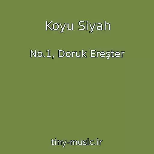کاور آهنگ Koyu Siyah از No.1, Doruk Ereşter