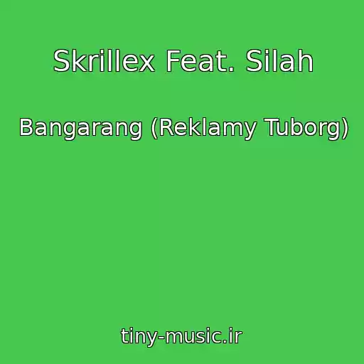 کاور آهنگ Skrillex Feat. Silah از Bangarang (Reklamy Tuborg)