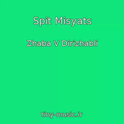 کاور آهنگ Spit Mіsyats از Zhaba V Dirizhablі