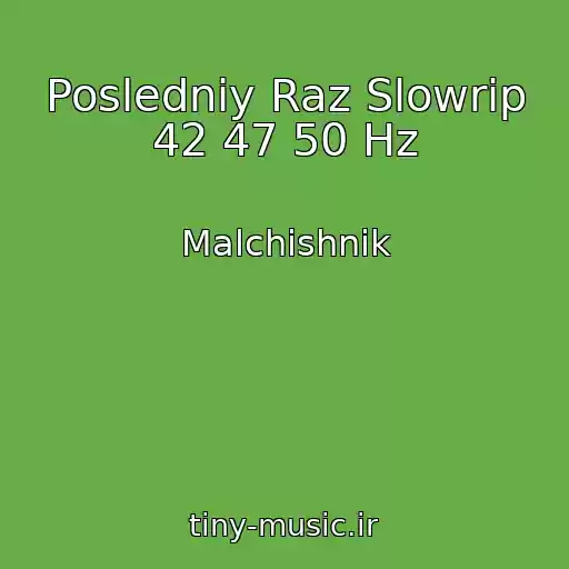 کاور آهنگ Posledniy Raz Slowrip 42 47 50 Hz از Malchishnik