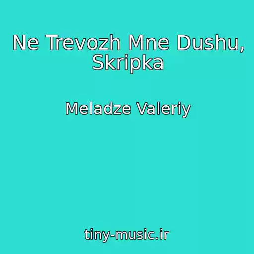 کاور آهنگ Ne Trevozh Mne Dushu, Skripka از Meladze Valeriy