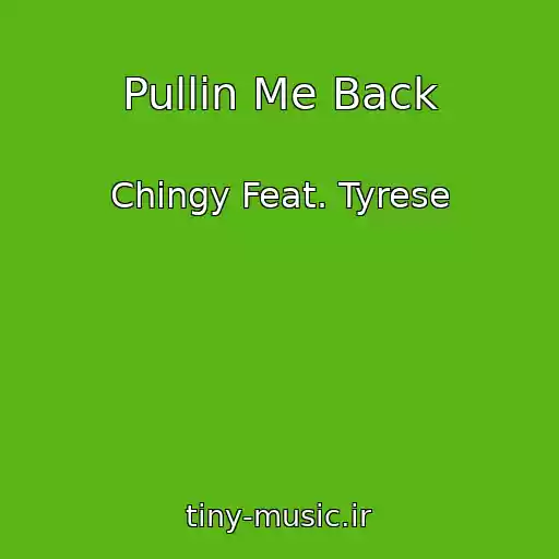 کاور آهنگ Pullin Me Back از Chingy Feat. Tyrese