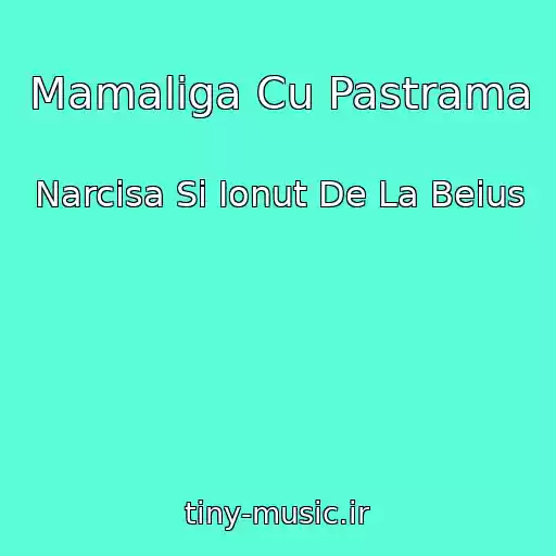 کاور آهنگ Mamaliga Cu Pastrama از Narcisa Si Ionut De La Beius