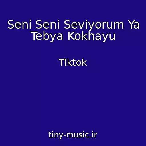 کاور آهنگ Seni Seni Seviyorum Ya Tebya Kokhayu از Tiktok
