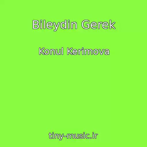 کاور آهنگ Bileydin Gerek از Konul Kerimova