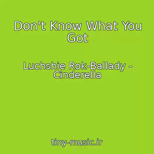 کاور آهنگ Don't Know What You Got از Luchshie Rok-Ballady - Cinderella