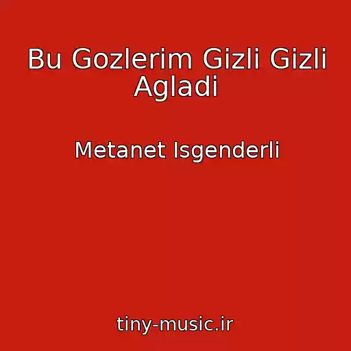 کاور آهنگ Bu Gozlerim Gizli Gizli Agladi از Metanet Isgenderli