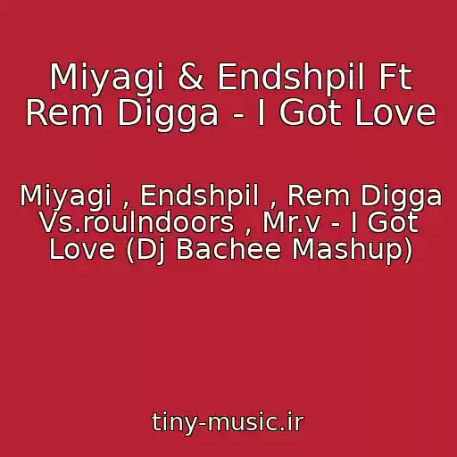 کاور آهنگ Miyagi & Endshpil Ft Rem Digga - I Got Love از Miyagi , Endshpil , Rem Digga Vs.roulndoors , Mr.v - I Got Love (Dj Bachee Mashup)
