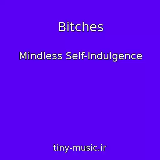 کاور آهنگ Bitches از Mindless Self-Indulgence