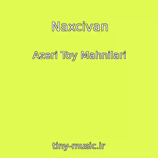کاور آهنگ Naxcivan از Azeri Toy Mahnilari