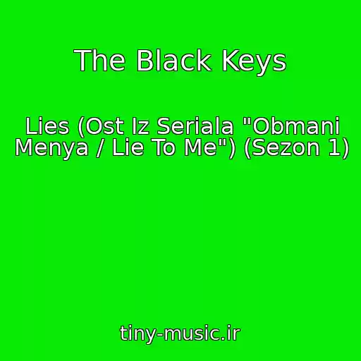 کاور آهنگ The Black Keys از Lies (Ost Iz Seriala "Obmani Menya / Lie To Me") (Sezon 1)