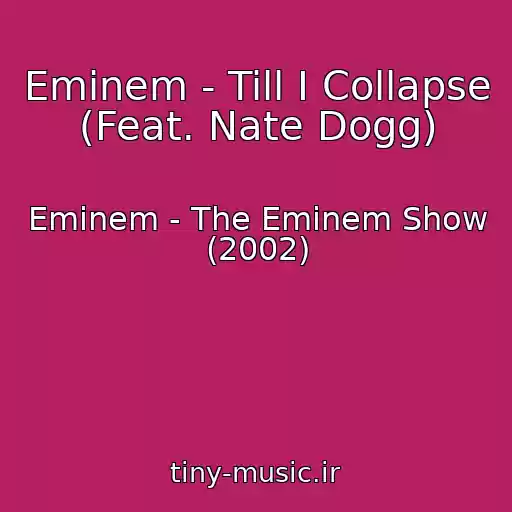 کاور آهنگ Eminem - Till I Collapse (Feat. Nate Dogg) از Eminem - The Eminem Show (2002)