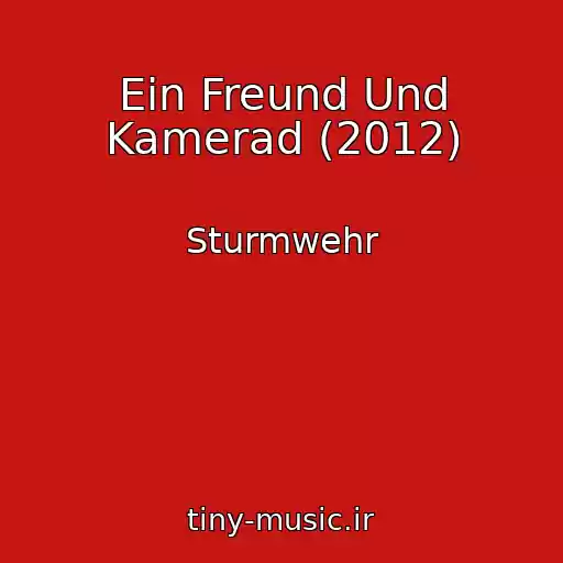 کاور آهنگ Ein Freund Und Kamerad (2012) از Sturmwehr