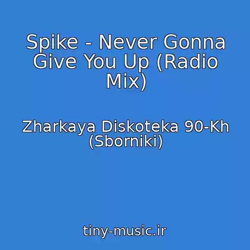 کاور آهنگ Spike - Never Gonna Give You Up (Radio Mix) از Zharkaya Diskoteka 90-Kh (Sborniki)