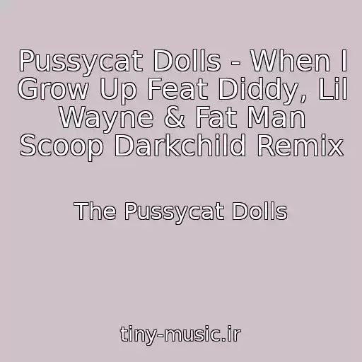 کاور آهنگ Pussycat Dolls - When I Grow Up Feat Diddy, Lil Wayne & Fat Man Scoop Darkchild Remix از The Pussycat Dolls