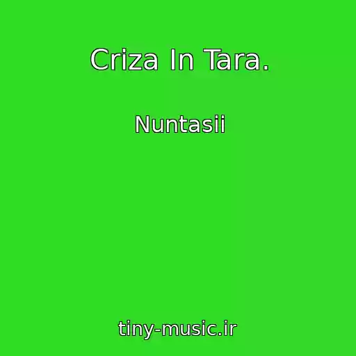 کاور آهنگ Criza In Tara. از Nuntasii