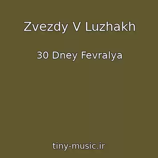 کاور آهنگ Zvezdy V Luzhakh از 30 Dney Fevralya