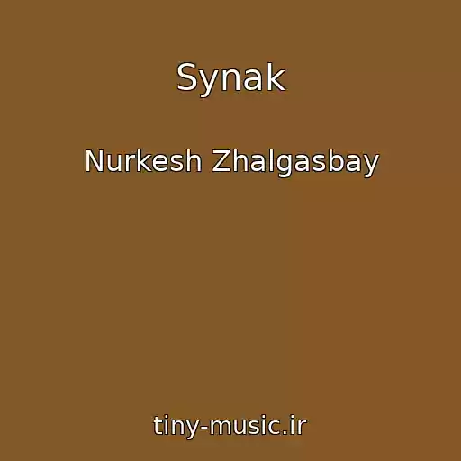 کاور آهنگ Synak از Nurkesh Zhalgasbay
