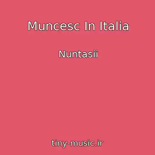 کاور آهنگ Muncesc In Italia از Nuntasii
