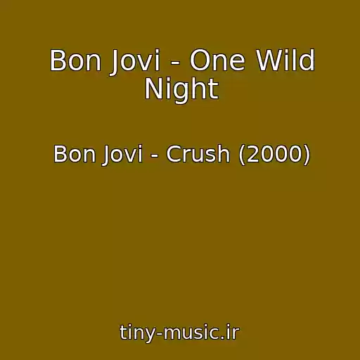 کاور آهنگ Bon Jovi - One Wild Night از Bon Jovi - Crush (2000)