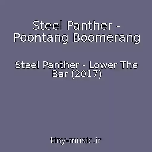 کاور آهنگ Steel Panther - Poontang Boomerang از Steel Panther - Lower The Bar (2017)