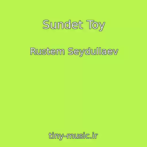 کاور آهنگ Sundet Toy از Rustem Seydullaev