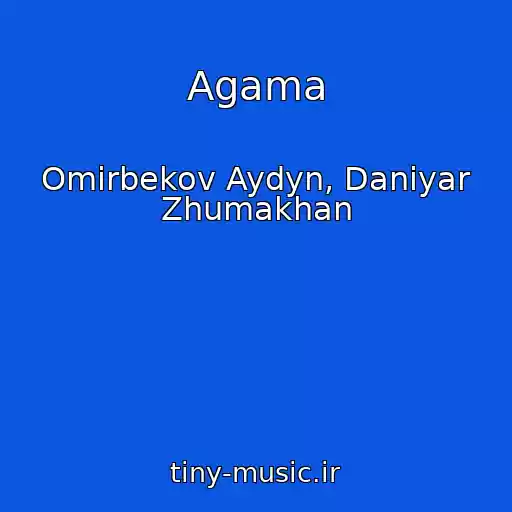 کاور آهنگ Agama از Omirbekov Aydyn, Daniyar Zhumakhan