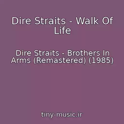 کاور آهنگ Dire Straits - Walk Of Life از Dire Straits - Brothers In Arms (Remastered) (1985)