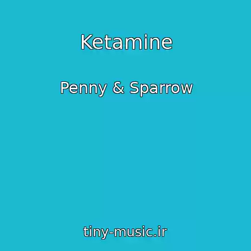 کاور آهنگ Ketamine از Penny & Sparrow