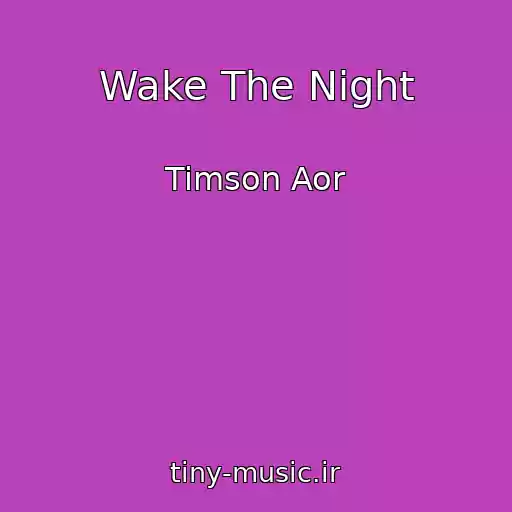 کاور آهنگ Wake The Night از Timson Aor
