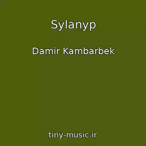 کاور آهنگ Sylanyp از Damir Kambarbek