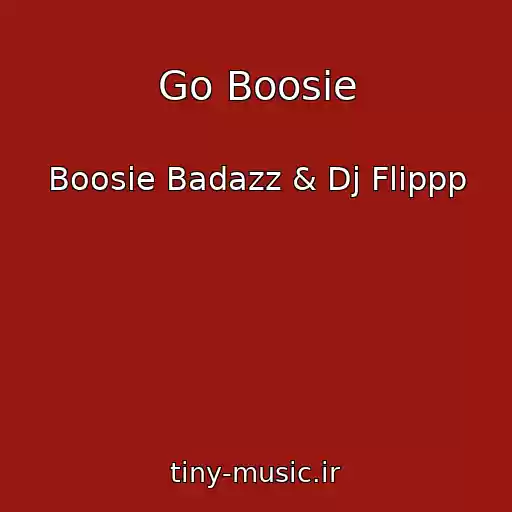 کاور آهنگ Go Boosie از Boosie Badazz & Dj Flippp
