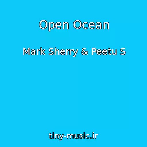 کاور آهنگ Open Ocean از Mark Sherry & Peetu S