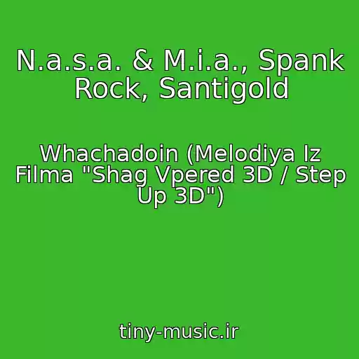 کاور آهنگ N.a.s.a. & M.i.a., Spank Rock, Santigold از Whachadoin (Melodiya Iz Filma "Shag Vpered 3D / Step Up 3D")