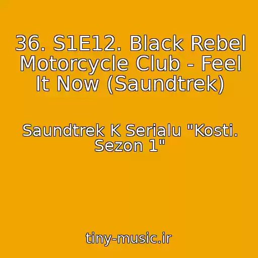 کاور آهنگ 36. S1E12. Black Rebel Motorcycle Club - Feel It Now (Saundtrek) از Saundtrek K Serialu "Kosti. Sezon 1"
