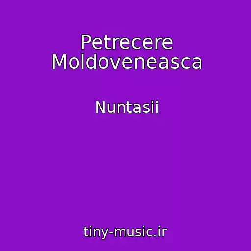 کاور آهنگ Petrecere Moldoveneasca از Nuntasii