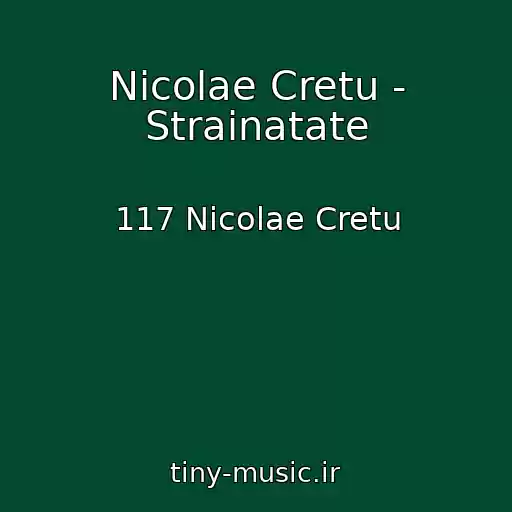 کاور آهنگ Nicolae Cretu - Strainatate از 117 Nicolae Cretu