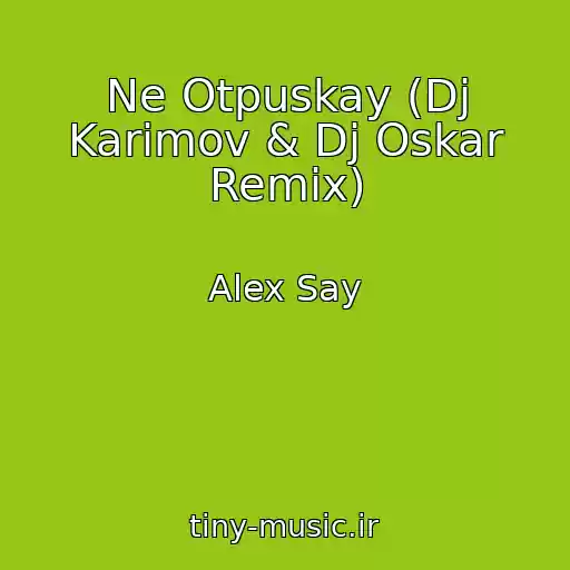 کاور آهنگ Ne Otpuskay (Dj Karimov & Dj Oskar Remix) از Alex Say