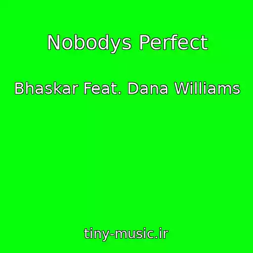 کاور آهنگ Nobodys Perfect از Bhaskar Feat. Dana Williams
