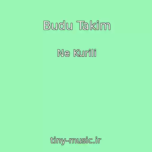 کاور آهنگ Budu Takim از Ne Kurili