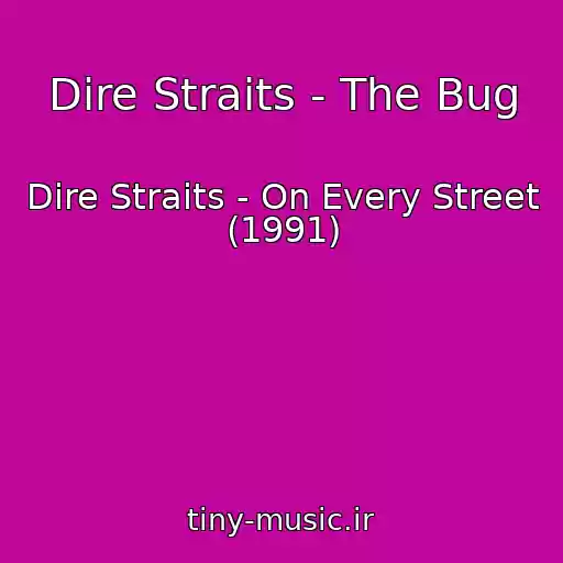 کاور آهنگ Dire Straits - The Bug از Dire Straits - On Every Street (1991)