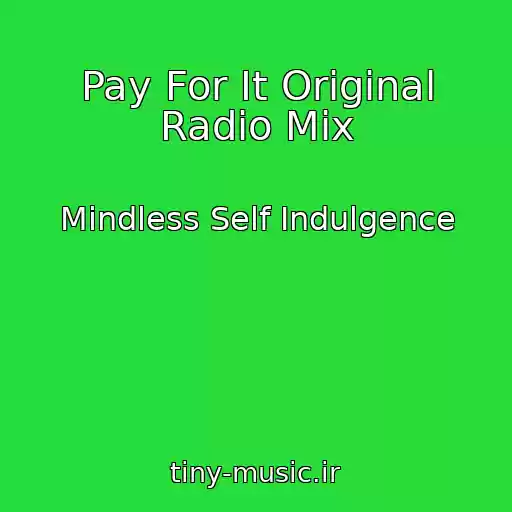 کاور آهنگ Pay For It Original Radio Mix از Mindless Self Indulgence