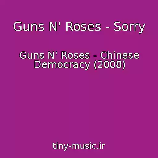 کاور آهنگ Guns N' Roses - Sorry از Guns N' Roses - Chinese Democracy (2008)